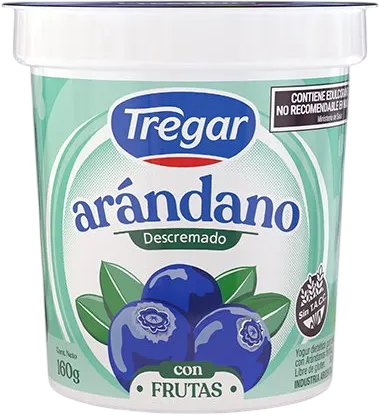 TREGAR YOGUR DESC x160g ARANDANO