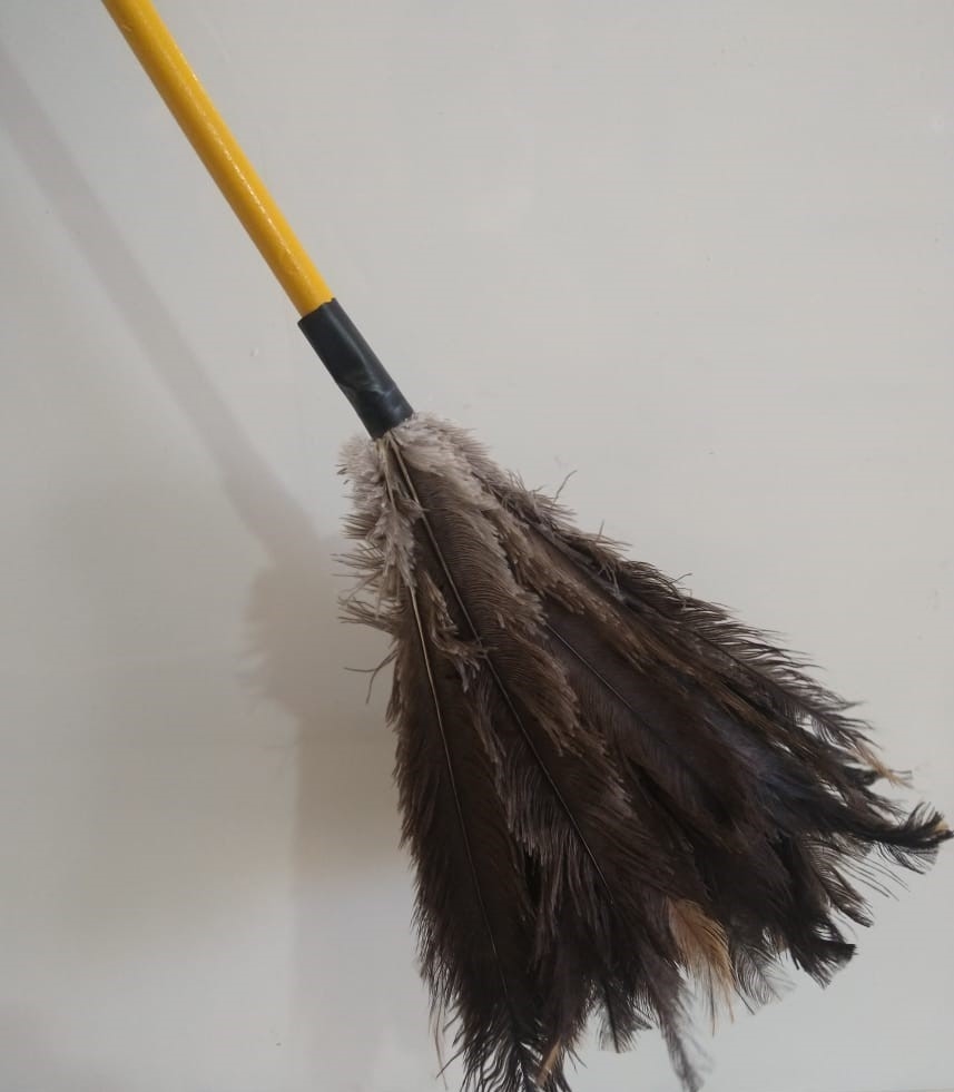 DUCANITO PLUMERO N°30