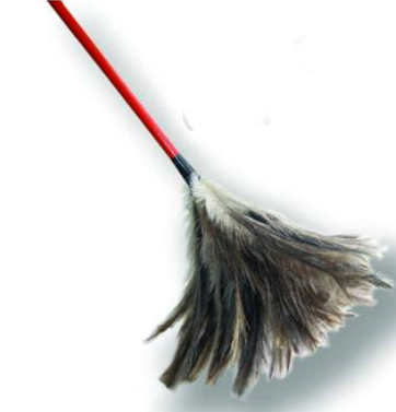 DUCANITO PLUMERO N°34