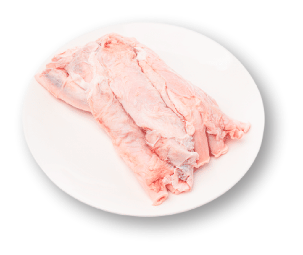 TENDON xKG