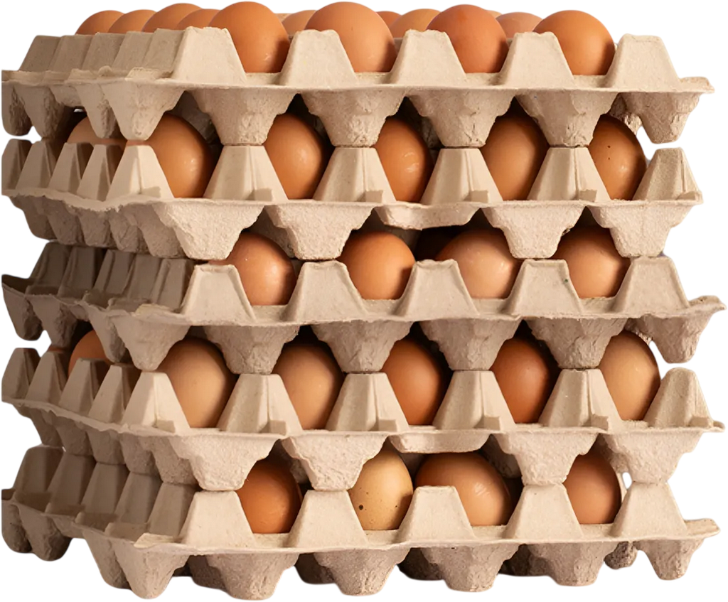 HUEVOS CAJON GRANDE