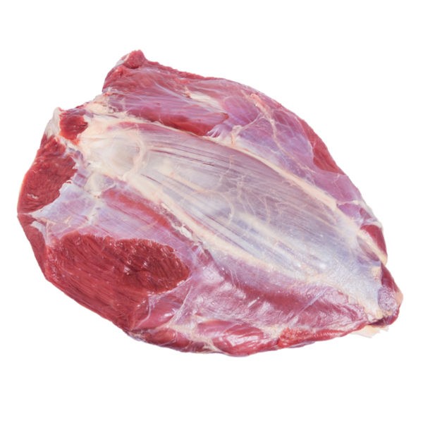 NOVILLO TORTUGUITA xKG