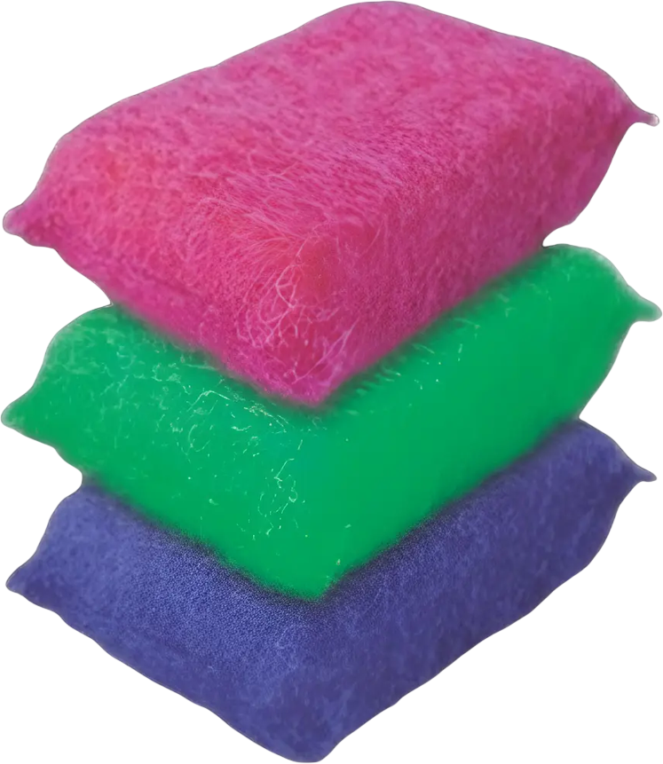 EXTRALIMP ESPONJA PLUS