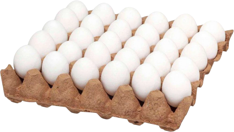 HUEVOS MAPLE x30u