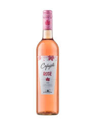CAFAYATE VINO x750ml ROSE