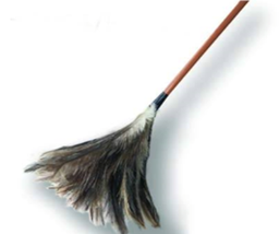 DUCANITO PLUMERO N°22